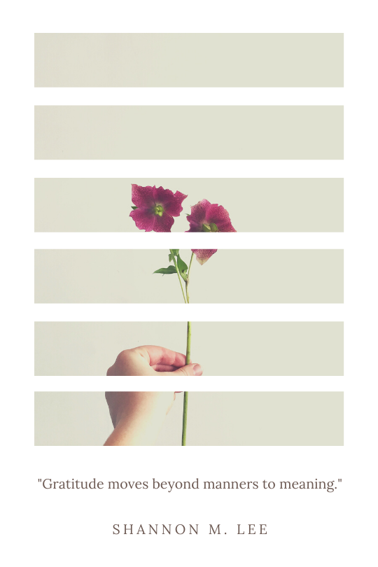 Mindset of Gratitude