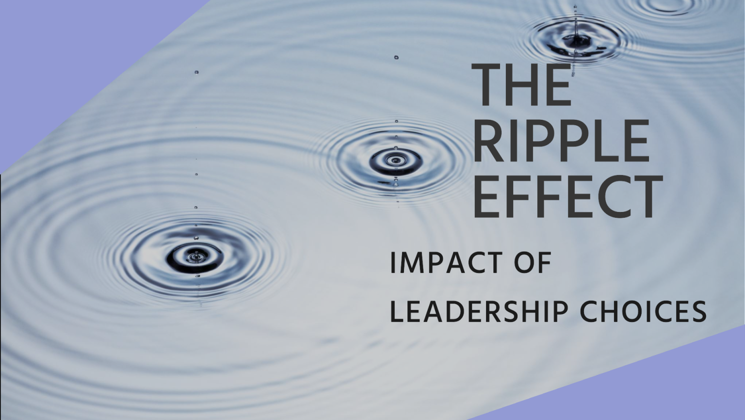 The Ripple Effect: - Lee Consulting